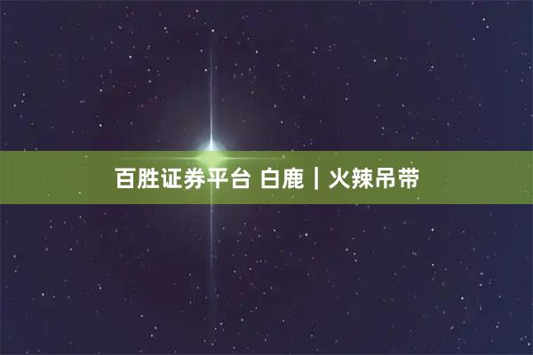 百胜证券平台 白鹿｜火辣吊带