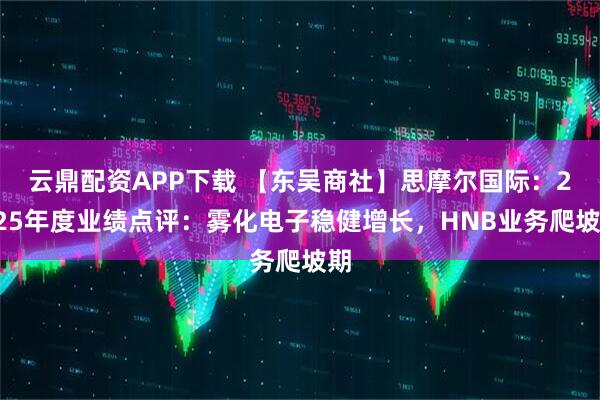 云鼎配资APP下载 【东吴商社】思摩尔国际：2025年度业绩点评：雾化电子稳健增长，HNB业务爬坡期