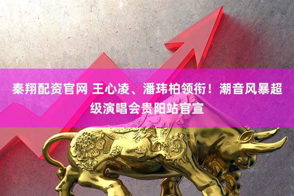 秦翔配资官网 王心凌、潘玮柏领衔！潮音风暴超级演唱会贵阳站官宣