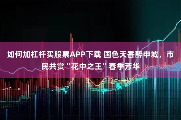 如何加杠杆买股票APP下载 国色天香醉申城，市民共赏“花中之王”春季芳华