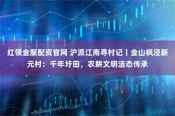红领金服配资官网 沪派江南寻村记丨金山枫泾新元村：千年圩田，农耕文明活态传承