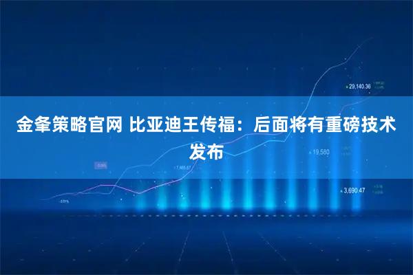 金夆策略官网 比亚迪王传福：后面将有重磅技术发布