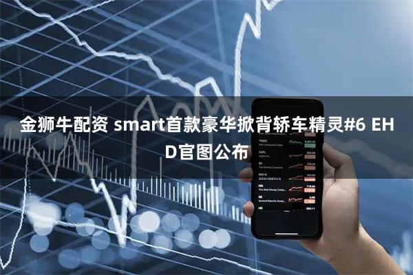 金狮牛配资 smart首款豪华掀背轿车精灵#6 EHD官图公布