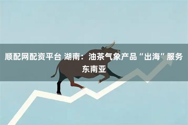 顺配网配资平台 湖南：油茶气象产品“出海”服务东南亚