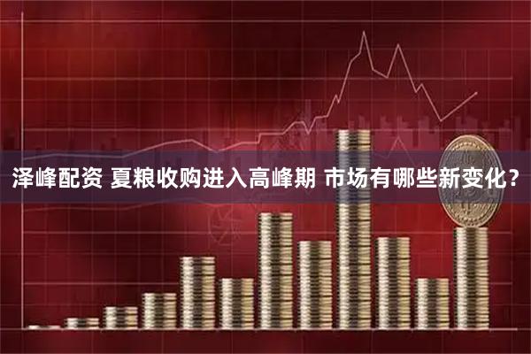 泽峰配资 夏粮收购进入高峰期 市场有哪些新变化？